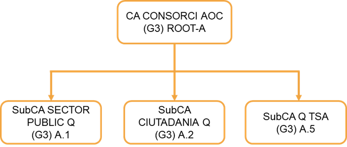 Image that represents the hierarchy described above